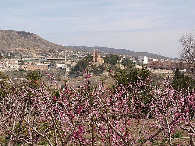 Floracin de Cieza -  El Caico - 14